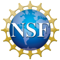 Image result for nsf logo