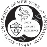 Image result for binghamton university logo
