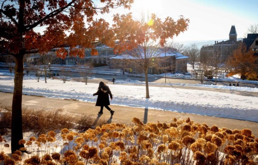 A winter scene at Cornell