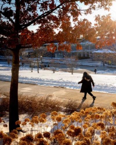 A winter scene at Cornell